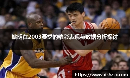 姚明在2003赛季的精彩表现与数据分析探讨