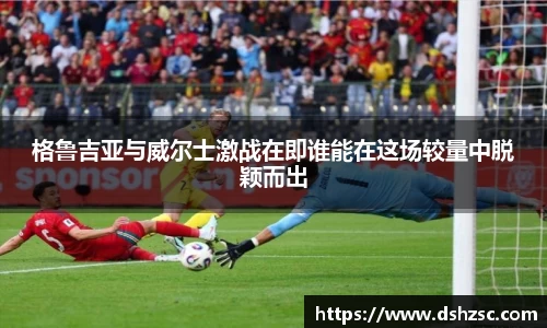 格鲁吉亚与威尔士激战在即谁能在这场较量中脱颖而出